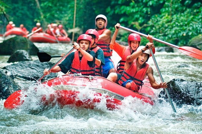 Bali Waterfall Wonders | A Nature Escape | All Inclusive - The driver can shape the whole experience