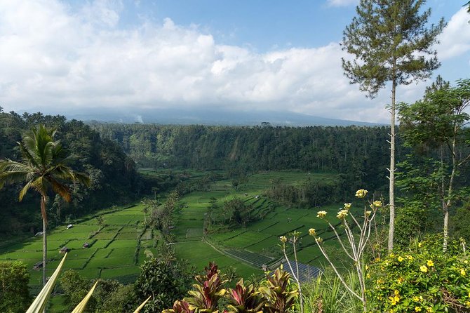 Bali Waterfalls and Temples Tour - What the $76 group price really covers
