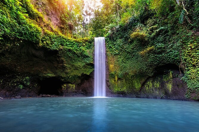 Bali Waterfalls Private Day Tour - What the $43.58 price really buys you