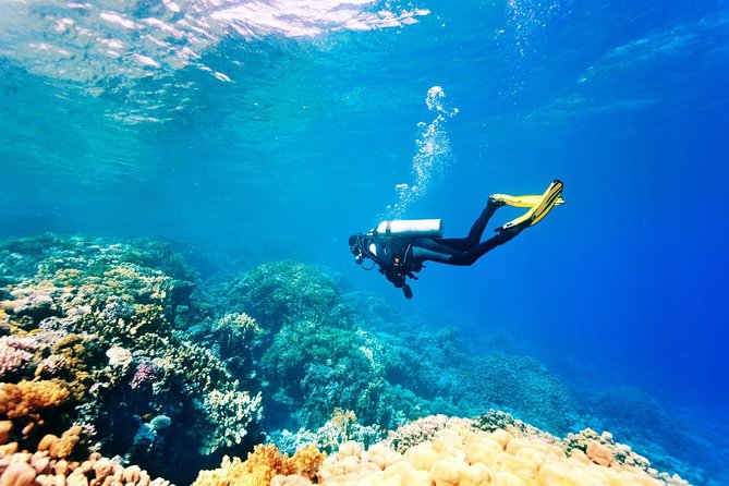 Bali Watersport Activities - Great Discount Package - Practical planning for your morning