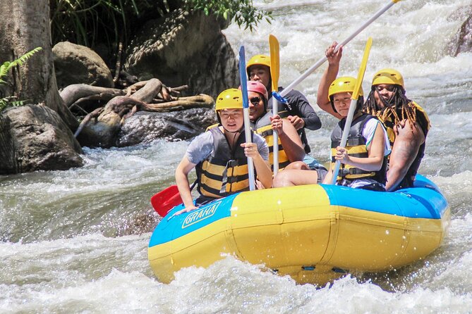 Bali White Water Rafting Adventure at Ayung River Bali - Rice paddies, rainforest, waterfalls, and carved cliffs