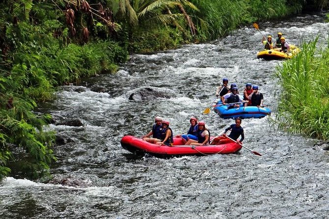 Bali White Water Rafting at Telaga Waja River - Why Telaga Waja is a good rafting choice