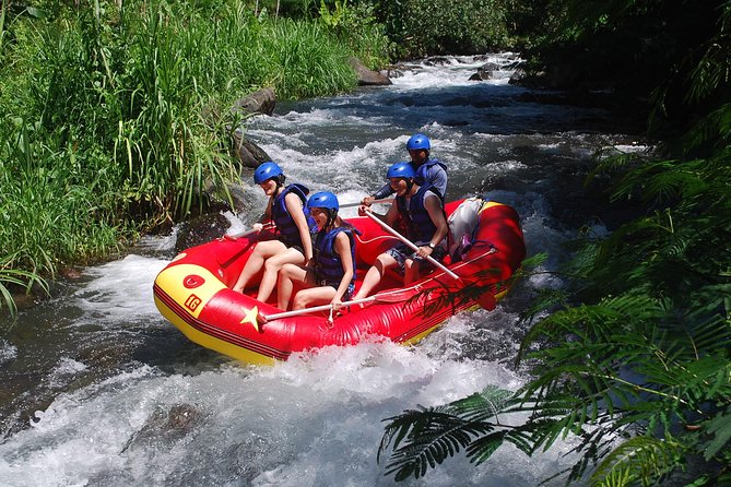 Bali White Water Rafting at Telaga Waja River - Two hours through jungle, rice fields, and rapids
