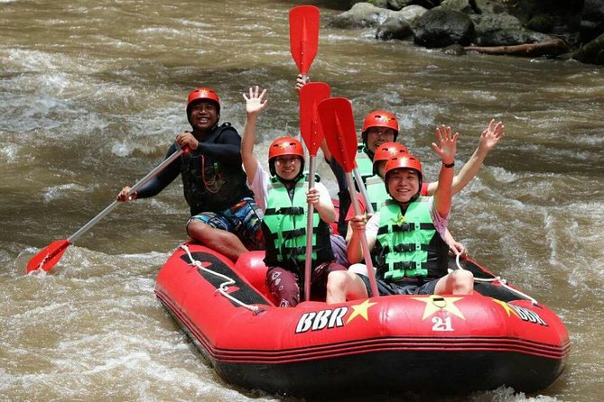 Bali White Water Rafting - Infinity - Key points at a glance