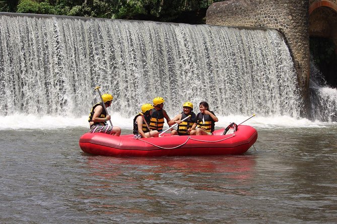 Bali White Water Rafting with Lunch - Why the Ayung River is the star of the day