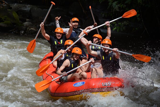 Bali White Water Rafting with No Steep Access - Private transfers from Ubud and south Bali