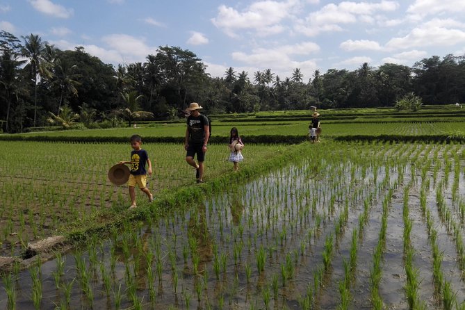 Balinese Cooking Class at Organic Farm - Walking the farm and learning about Bali’s subak system