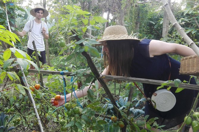 Balinese Cooking Class at Organic Farm - Timing, weather, and practical planning
