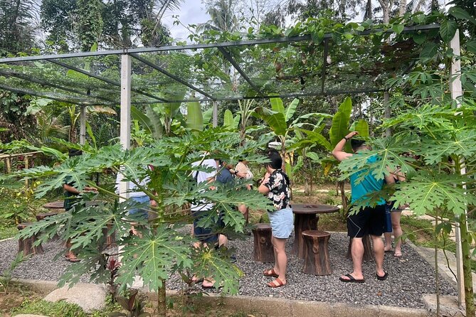 Balinese Cooking Class with Traditional Market Tour - How this class compares with a standard cooking demonstration