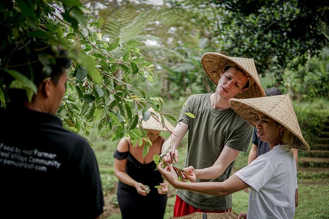 Balinese Farm Cooking Class by Pemulan Bali - Six dishes in an open-air kitchen