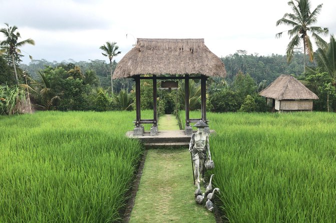 Balinese Life Style Tour - Kintamani and the Mount Batur view