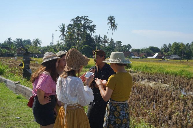 Balinese Traditional Food Cooking Class with Ubud Monkey Forest and SPA - Why This Ubud Day Feels More Complete