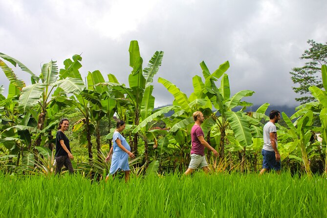 Balinese Vegan Cooking Class with Fresh Harvesting & Garden Tour - A four-course meal with a view