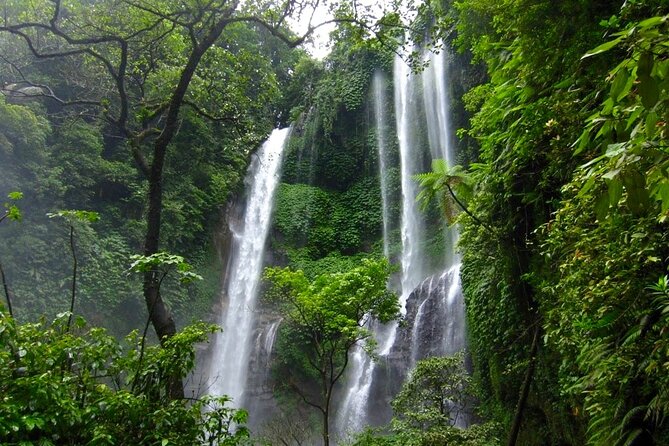 Banyuwana & Banyumala Waterfalls Tour Private - All-Inclusive - The guide can shape the whole day