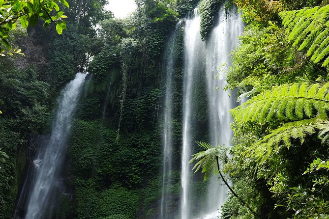 Banyuwana & Banyumala Waterfalls Tour Private - All-Inclusive - Banyu Wana Amertha and the steep return