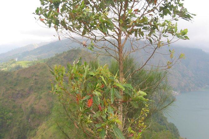 Batur Caldera Sunrise Trekking - Sunrise from the top of the caldera