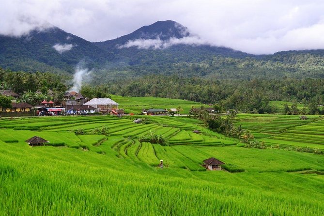 Beauty Of West Bali Tour (Private and All Inclusive) - Jatiluwih gives the day its strongest view