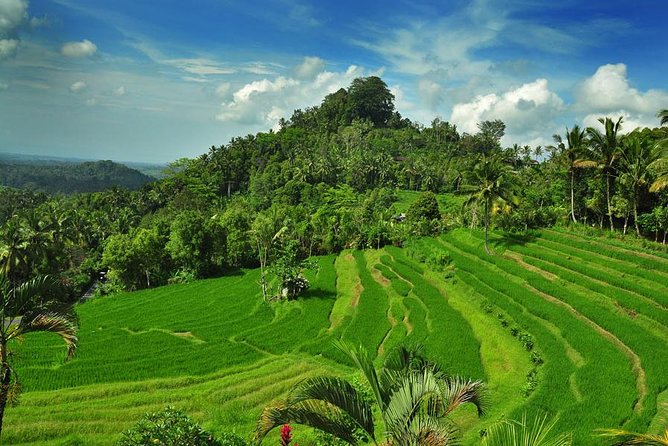 Besakih Temple Tour - Mother Temple in Bali - What the $65 price really covers