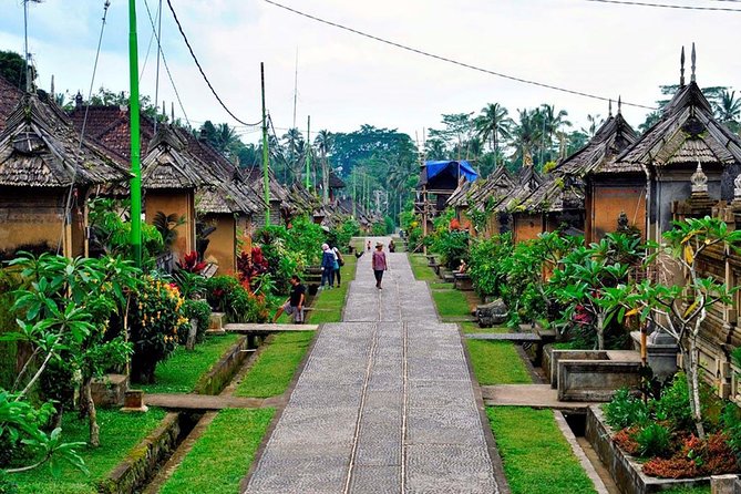 Besakih Temple Tour - Traditional Bali Village - All Inclusive - Who Should Book This Experience