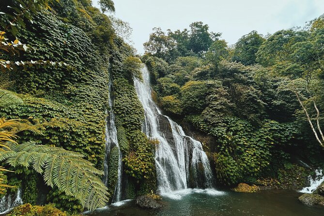 Best ATV Quad Bike: Fun ADVENTURE - Riding ATVs through Ubud’s rice paddies and hills