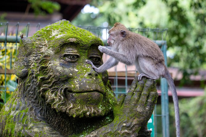 Best of Bali 3-Day Packaged Tour - Day one: Ubud culture, rice terraces, and a jungle swing