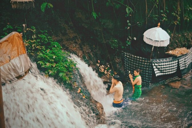 Best of Bali Ubud Tour and Surrounding - The Bali Ubud Route: Rice Terraces, Holy Water, and a Waterfall