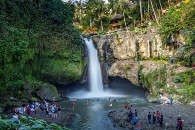 Best of Ubud 1-Day Private Tour