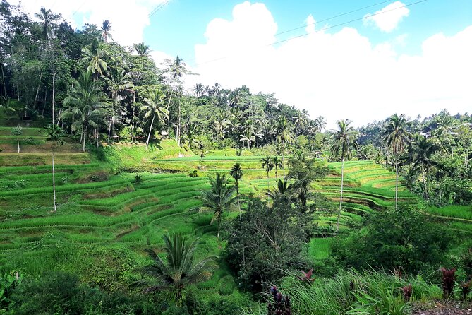 Best of Ubud - All Inclusive - Tegenungan Waterfall in a 40-minute stop