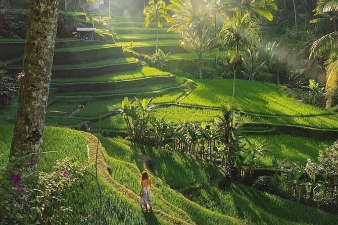 Best of Ubud: All-Inclusive Private Tour with Local Guide - What the $45.87 price really covers