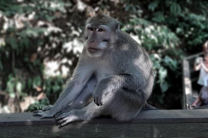 Best of Ubud - All Inclusive - Tirta Empul and Bali’s holy spring