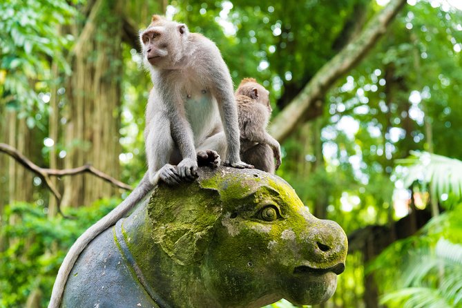 Best of Ubud Attractions: Private All-Inclusive Tour - D Alas Warung adds an optional meal and jungle view
