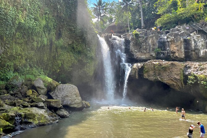Best Of Ubud Half Day Private Guided Tour - What this Ubud tour is really like