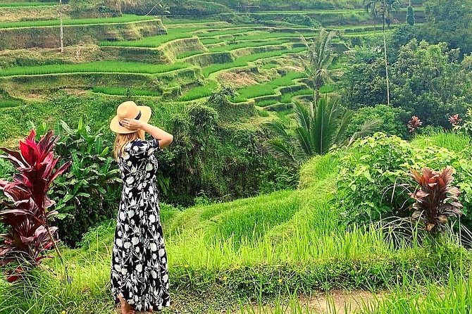 Best of Ubud - Kintamani Volcano View - Private Tour - Sacred Monkey Forest: a lively first stop