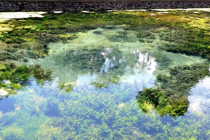 Best of Ubud - Kintamani Volcano View - Private Tour - Tirta Empul: the most meaningful cultural visit