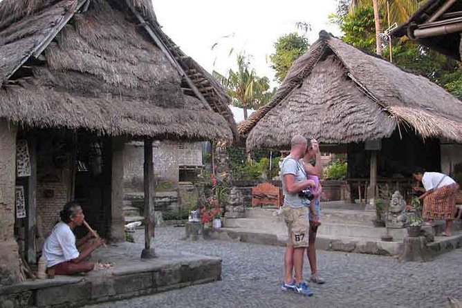 Best of Ubud Private Day Tour with All Inclusive - What the private vehicle adds