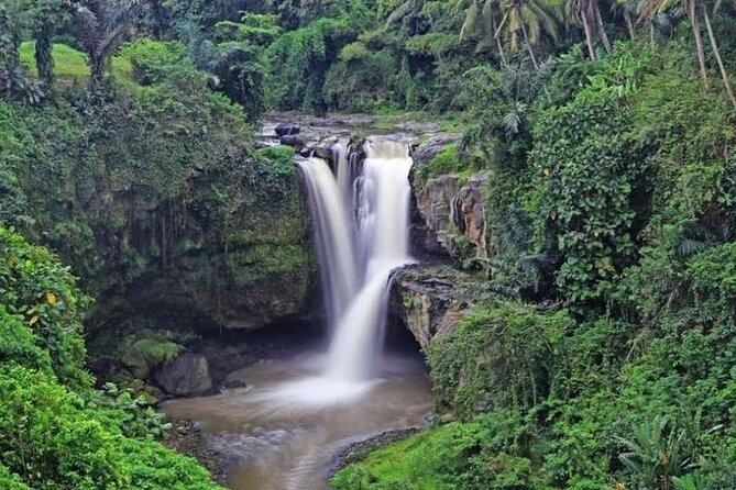 Best of Ubud Private Tour with Jungle Swing Experience - Walking under the trees at Sacred Monkey Forest Sanctuary
