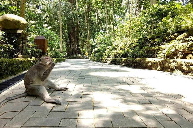 Best of Ubud Private Tour with Jungle Swing Experience - Finishing at Ubud Traditional Art Market