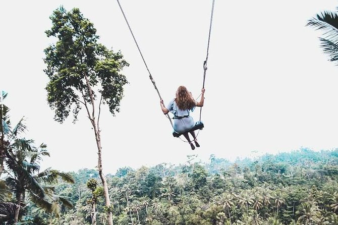 Best of Ubud Private Tour with Jungle Swing Experience - Starting at Puseh Batuan Temple