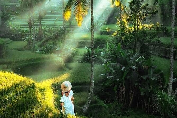 Best of Ubud Tour: Monkey Forest, Rice Terraces & Waterfall - What the $25 price really covers
