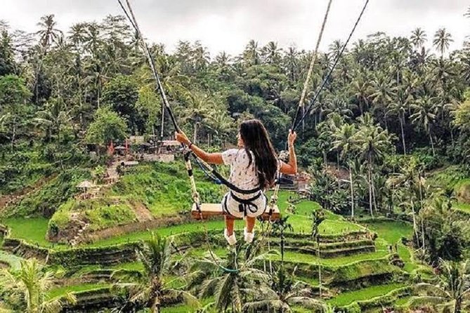 Best of Ubud Tour with Jungle Swing Private and All Inclusive - The jungle swing supplies the day’s playful moment