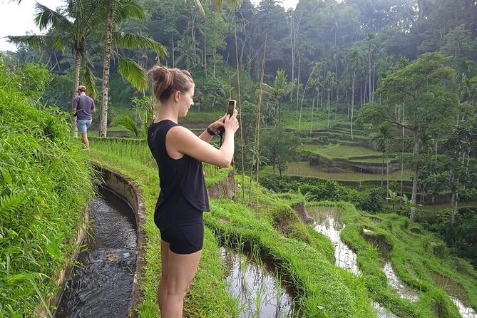 Best of Ubud - Ubud Tour Popular - All Inclusive - Why this private Ubud day works well