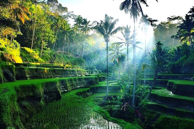 Best of Ubud - Ubud Tour Popular - All Inclusive - Tirta Empul connects water, worship, and Balinese legend