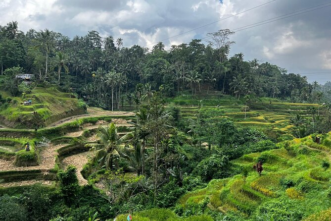 Best of Ubud - Ubud Tour Popular - All Inclusive - What to bring for a smoother 10-hour day