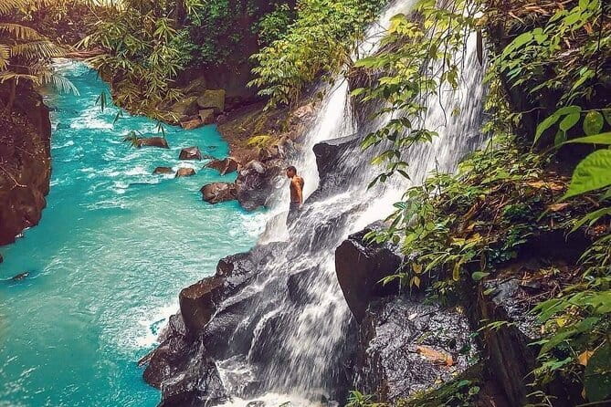Best Of Ubud Waterfalls, Rice Terrace and Jungle Swing Tour - Who will enjoy this Ubud day tour