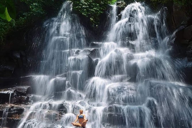 Best of Ubud Waterfalls, Tegalalang Rice Terrace and Swing Tour - What the $29 price really covers