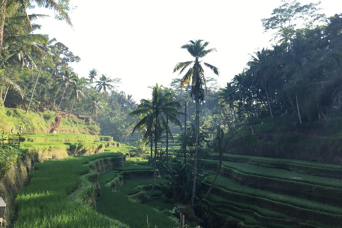 Best of Ubud Waterfalls, Tegalalang Rice Terrace and Swing Tour - Hotel pickup and a long day on the road
