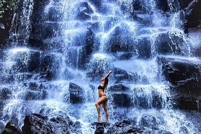 Best of Ubud Waterfalls, Tegalalang Rice Terrace & Jungle Swing - A private car makes a long day easier