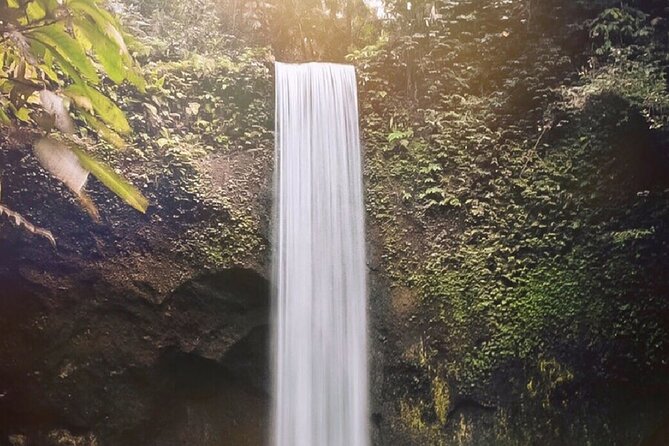 Best of Ubud Waterfalls, Tegalalang Rice Terrace & Jungle Swing - Ten hours is a full day, not a quick outing
