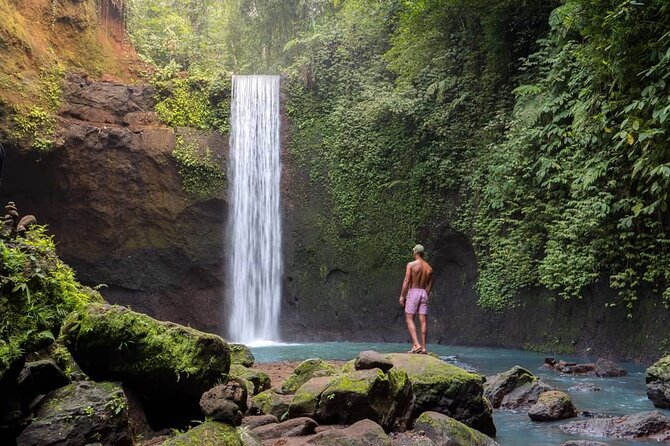 Best of Ubud: Waterfalls, Temple & Rice Terraces Private Day Tour - Tegalalang Rice Terrace and the final view