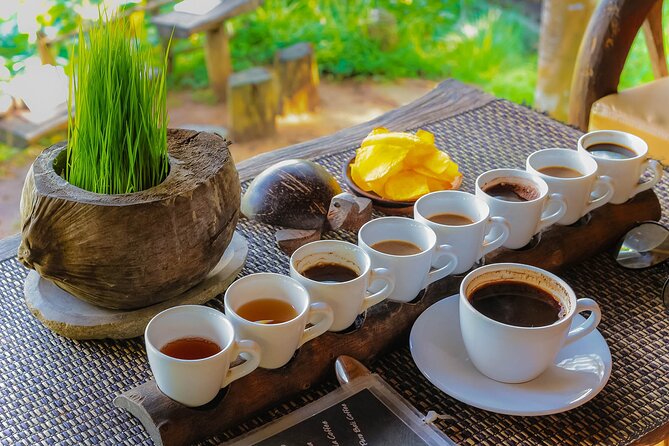 Best of Ubud: Waterfalls, Temple & Rice Terraces Private Day Tour - What the $31 price really covers